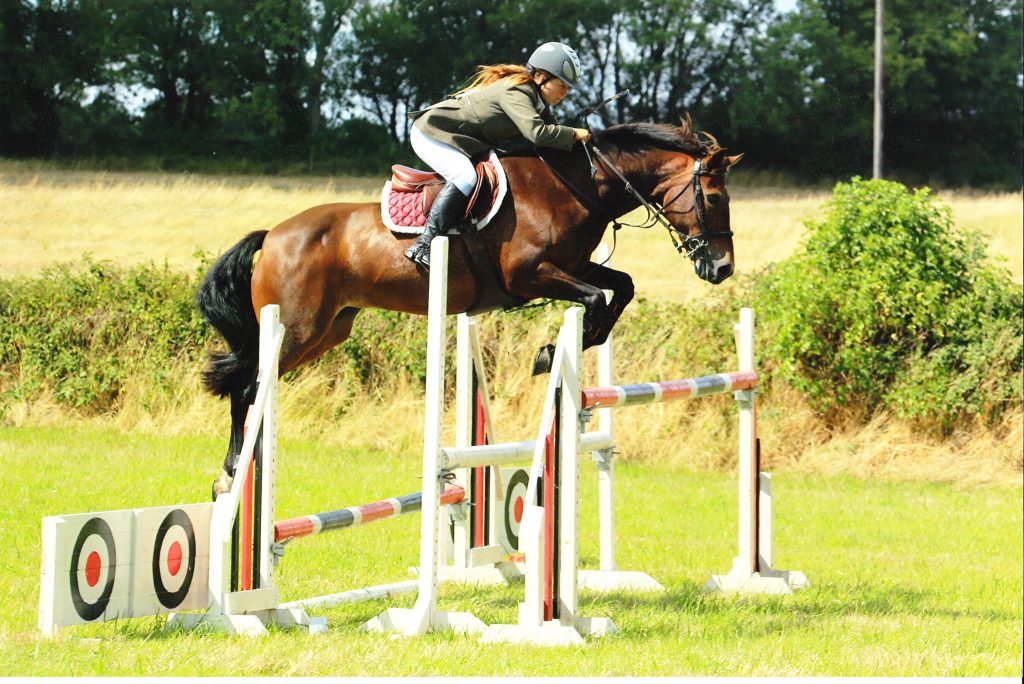 elf_equine_and_canine